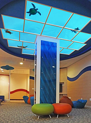 Barretos Childrens Hospital